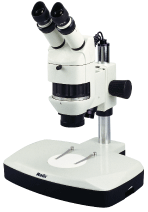 ��ʽ�۲���΢��