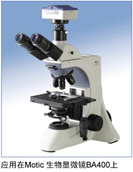 ������΢��