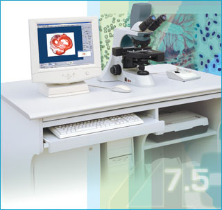 ������΢��