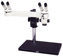 ���˹���ʵ����΢��