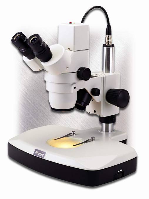 ������ʽ��΢��