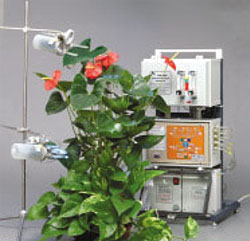 �Ϻ���̬����ó�����޹�˾