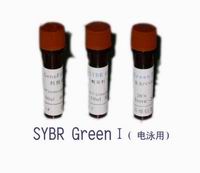 Ⱦ��SYBR Green I(��Ӿ��) 