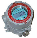 RAEGuard �̶�ʽ�����Ӽ�����ı�����